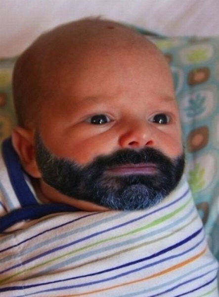 113-funny-pictures-485