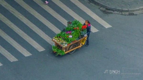This-is-Shanghai4-640x360