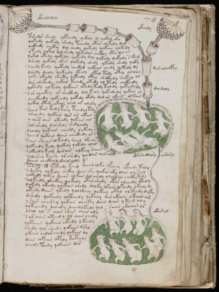 manuscrit-voynich-2