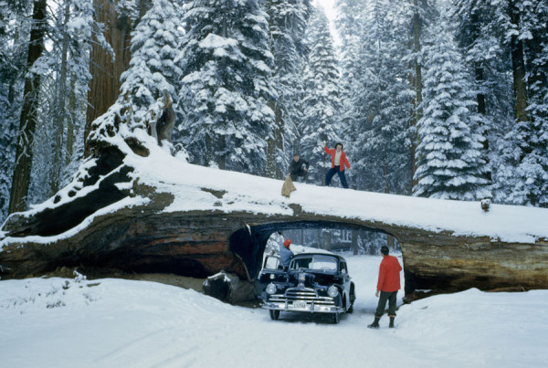 national-geographic-celebre-ses-125-ans-en-devoilant-ses-archives-photographiques-au-public-02