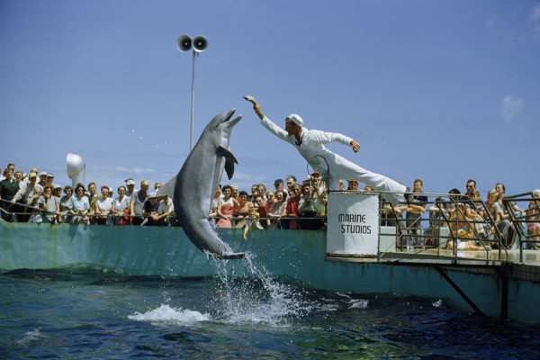 national-geographic-celebre-ses-125-ans-en-devoilant-ses-archives-photographiques-au-public-03