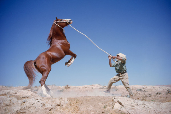 national-geographic-celebre-ses-125-ans-en-devoilant-ses-archives-photographiques-au-public-07