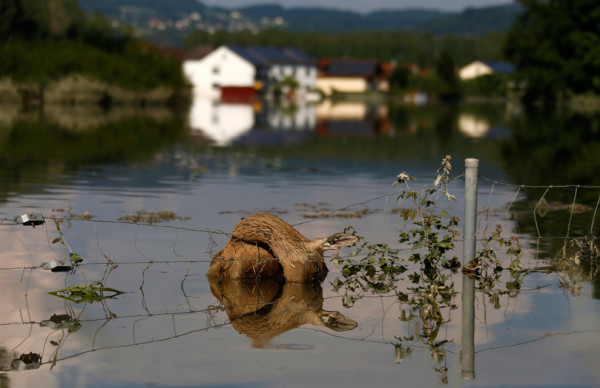 FLOODS-CENTRALEUROPE/