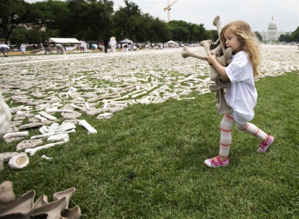 un-million-dos-amasse-devant-le-capitole-de-washington-pour-lutter-contre-latrocite-des-crimes-de-guerre9