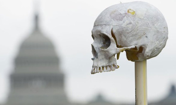un-million-dos-amasse-devant-le-capitole-de-washington-pour-lutter-contre-latrocite-des-crimes-de-guerreUNE