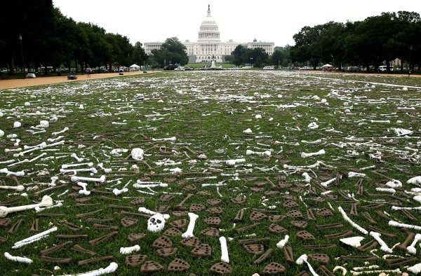 washington-dc-june-10-e2c8-diaporama