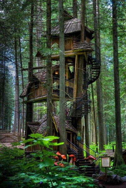 01-most_amazing_treehouses_from_around_the_world
