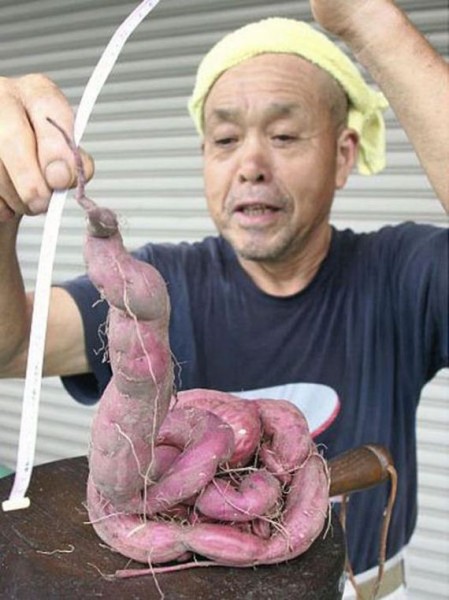 05-fukushima