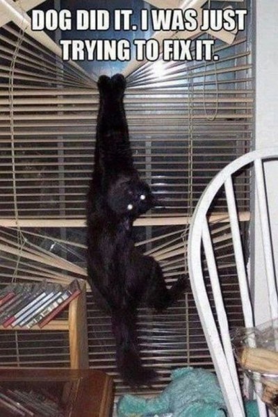 07-funny-pictures-498
