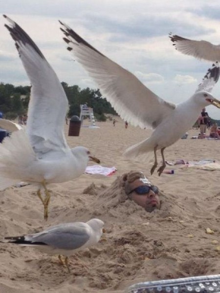 07-people_having_the_worst_summer_ever