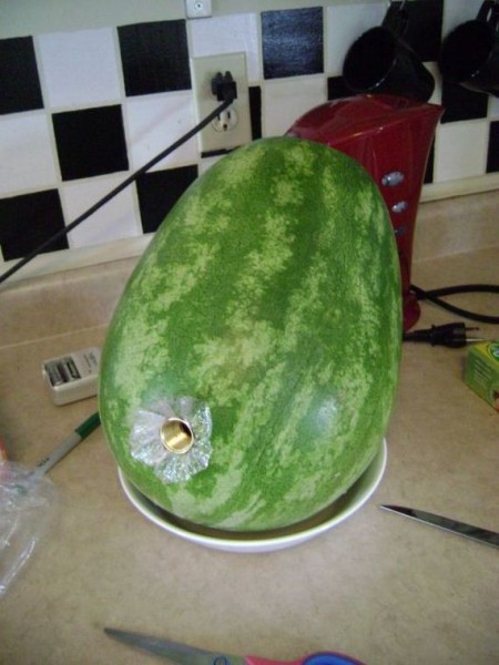 10-how_to_make_a_watermelon_keg