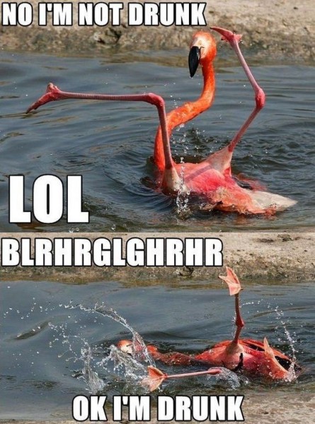 105-funny-pictures-497