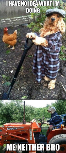 105-funny-pictures-500