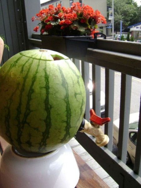 13-how_to_make_a_watermelon_keg