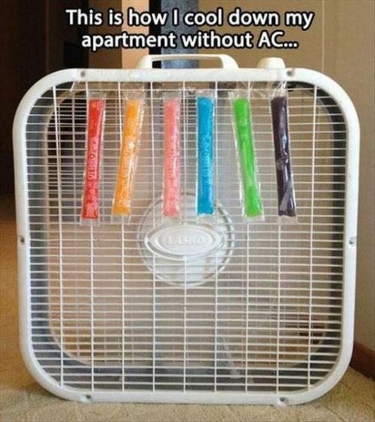 16-funny-pictures-495