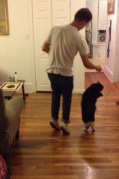 16-funny-pictures-503