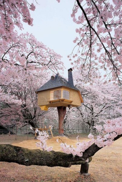 16-most_amazing_treehouses_from_around_the_world