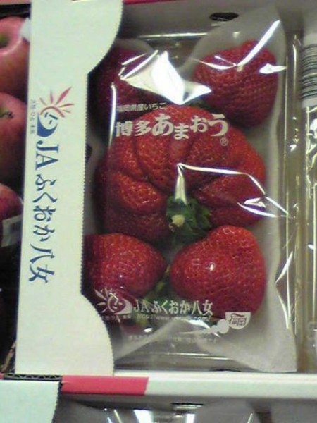 21-fukushima