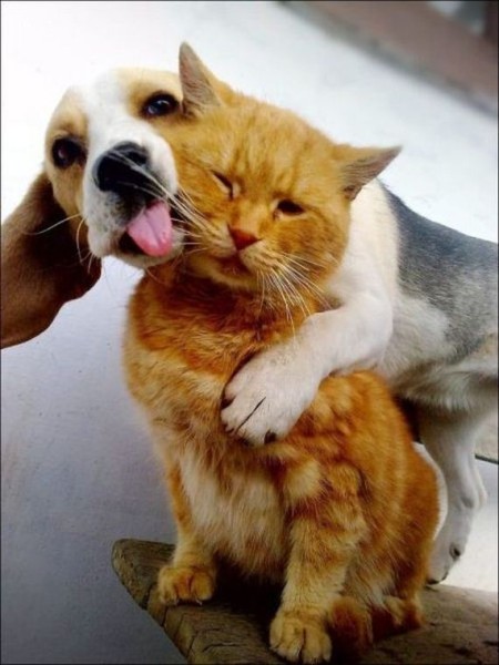 28-because_it_never_hurts_to_smile