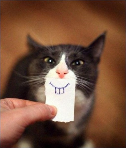 29-because_it_never_hurts_to_smile