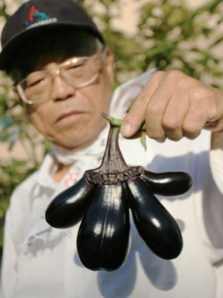 34-fukushima