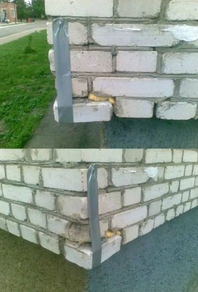 36-funny-pictures-498