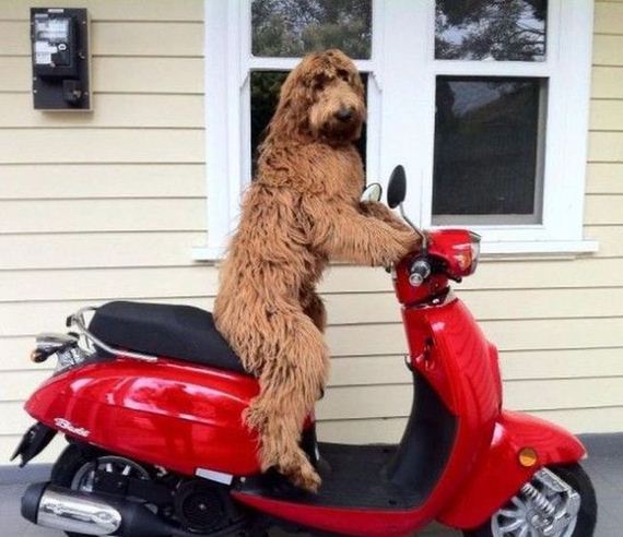 37-the_good_bad_and_funny_moments_people_have_with_their_car