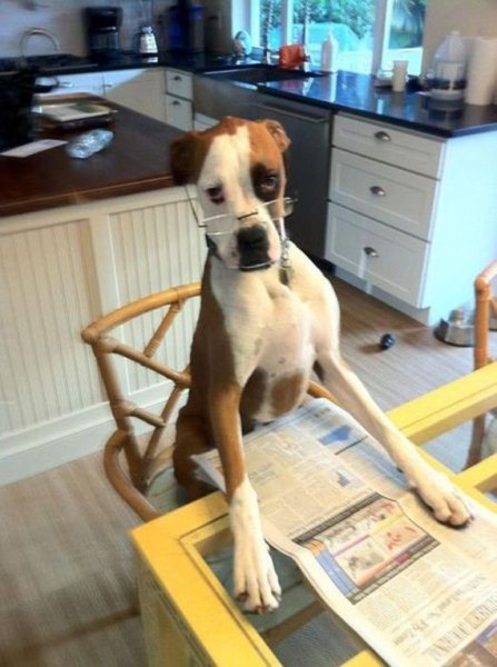 40-funny-pictures-494