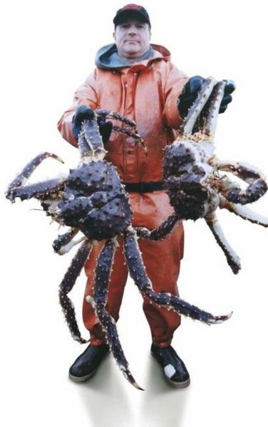 44-crazy_tings_that_only_happen_in_alaska