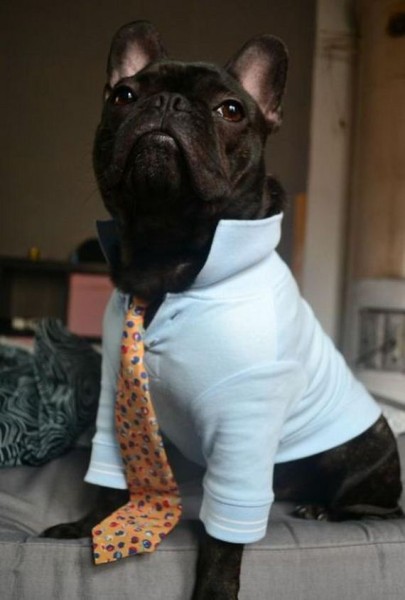 44-funny-pictures-448