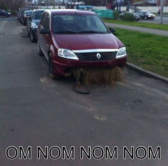 47-the_good_bad_and_funny_moments_people_have_with_their_car