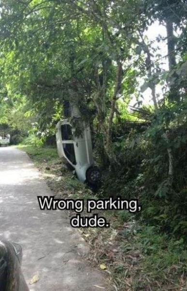 49-funny-pictures-507