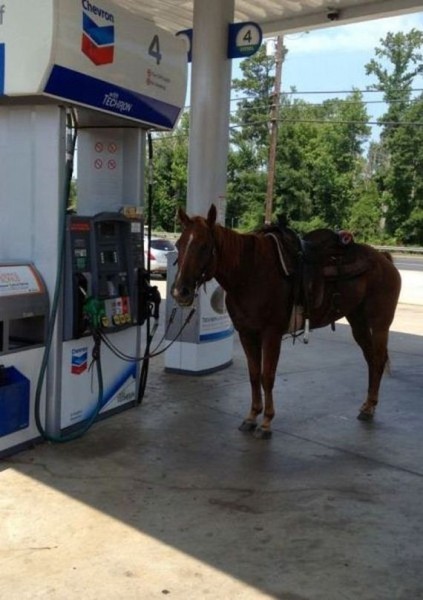 57-funny-pictures-499