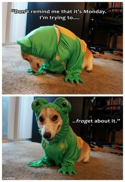 64-funny-pictures-448
