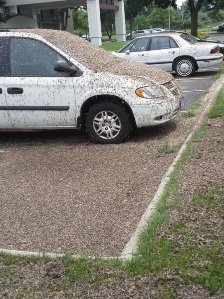 68-funny-pictures-495