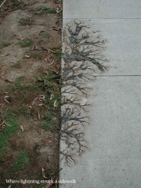 71-funny-pictures-497