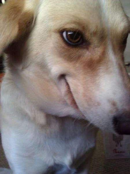 75-funny-pictures-499