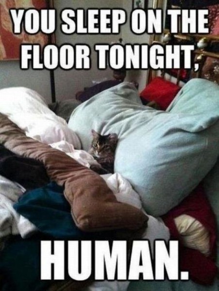 92-funny-pictures-446