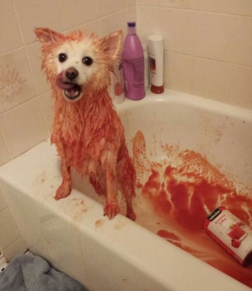 93-funny-pictures-498