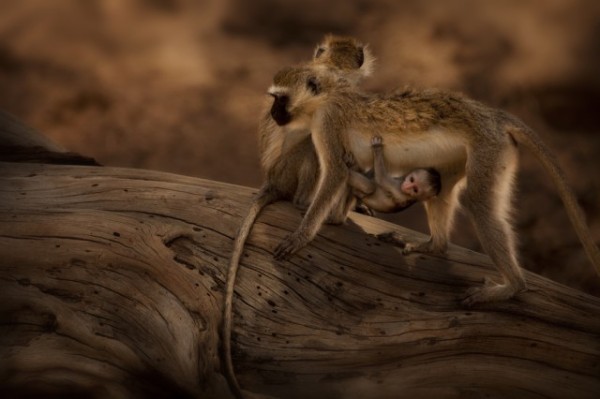 Kenya-Photography-27-640x426