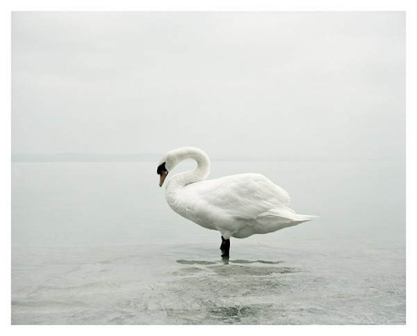 Stay-by-Akos-Major-18-640x516