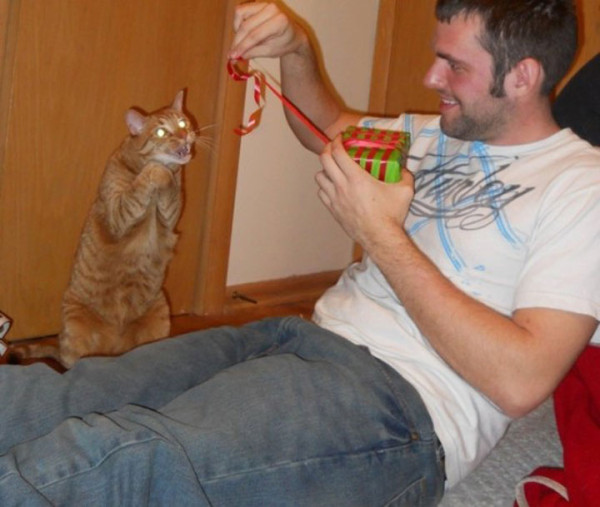 tremblez-humains-les-chats-sont-des-demons-qui-veulent-dominer-le-monde4