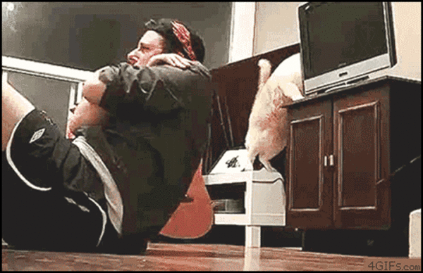 tremblez-humains-les-chats-sont-des-demons-qui-veulent-dominer-le-monde9