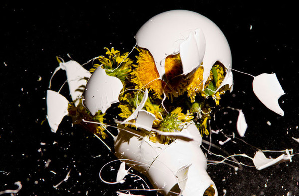 un-photographe-capture-et-sublime-lexplosion-dampoules-haute-en-couleurs5
