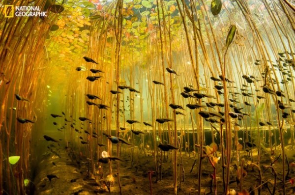 Your-Shot-by-National-Geographic-1-640x424