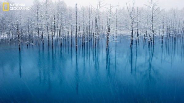 Your-Shot-by-National-Geographic-8-640x360