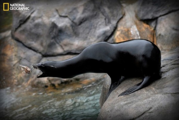 Your-Shot-by-National-Geographic-9-640x429