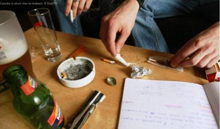 cannabis alcool eleve etude etudiant algerie